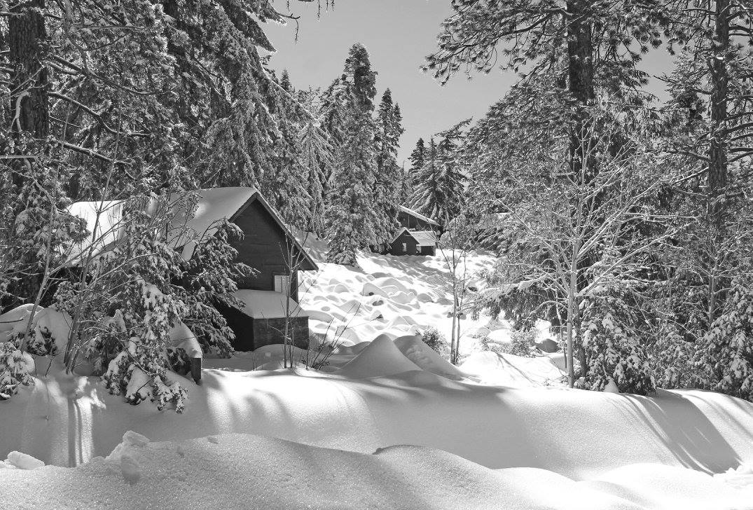 photo "Snowed In" tags: landscape, nature, black&white, cabins, california, mountains, season, snow, winter