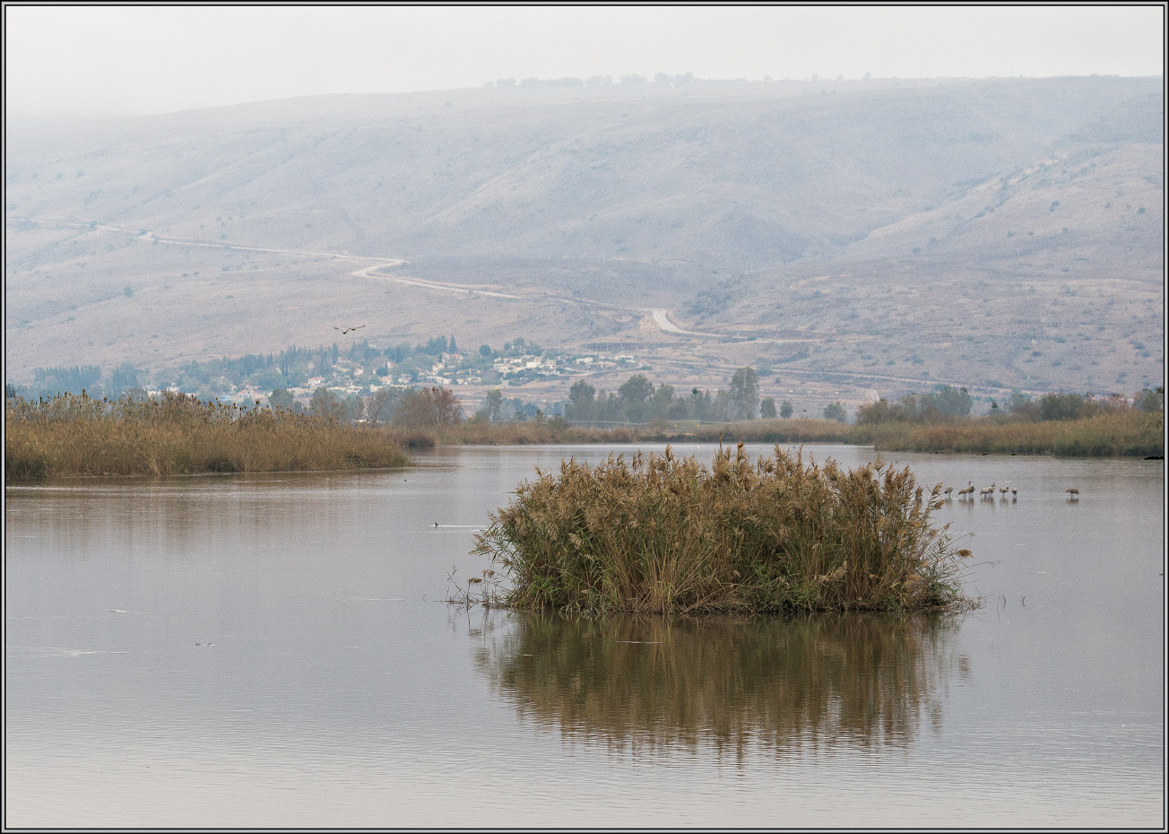 photo "***" tags: , 