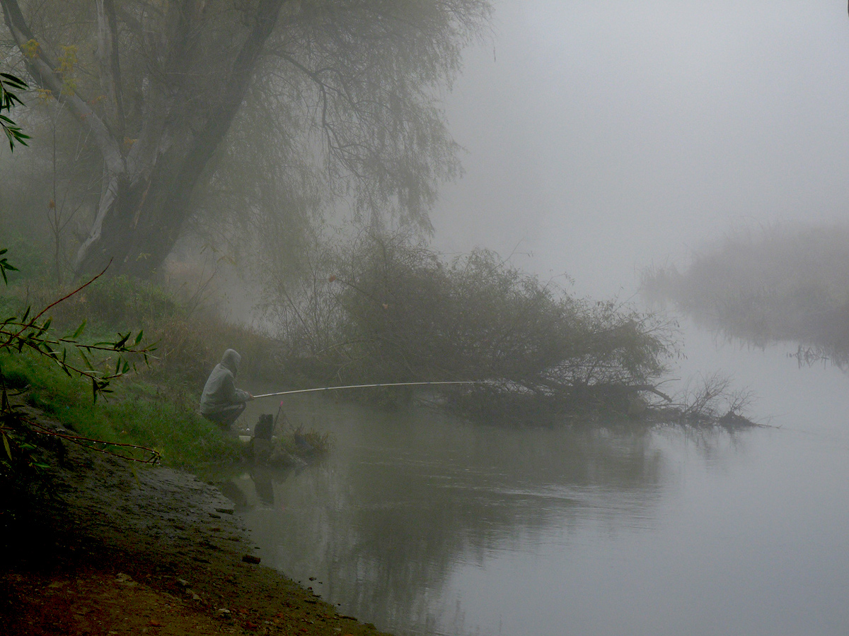 photo "***" tags: landscape, fog