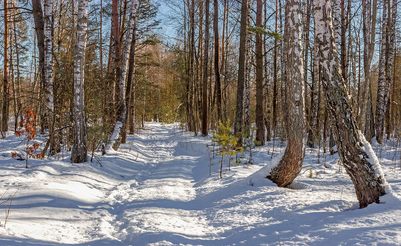 photo "***" tags: landscape, 