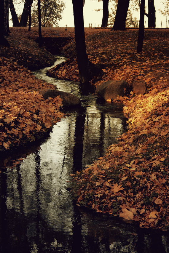 photo "чёрная вода" tags: misc., nature, autumn, park, water, листья, ручей