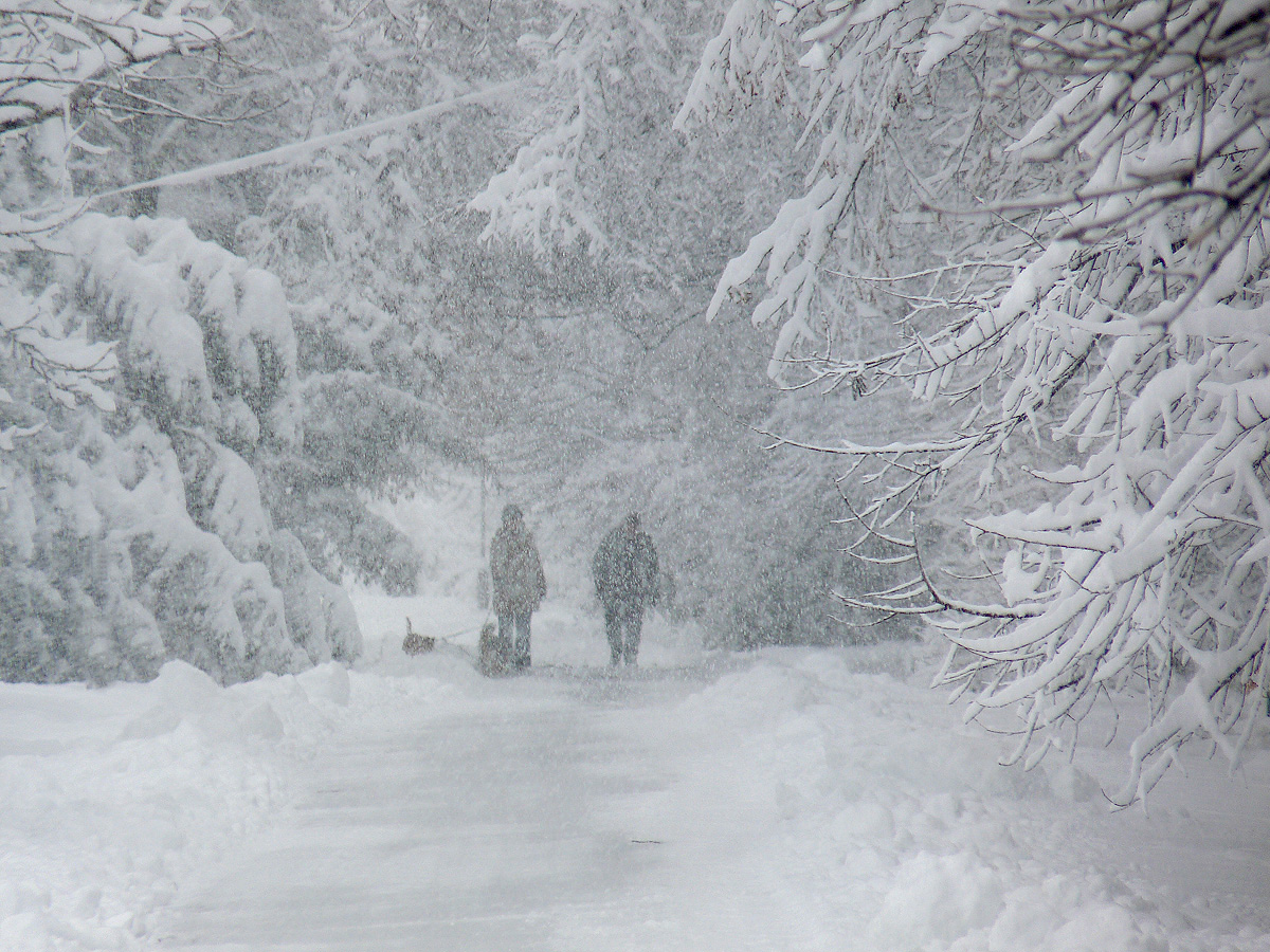 photo "***" tags: nature, winter