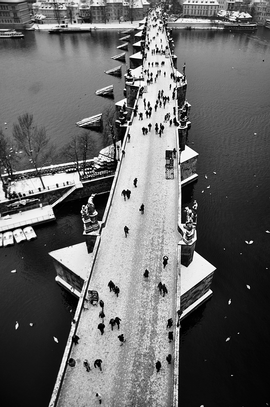 photo "Зимний Карлов мост" tags: black&white, architecture, Prag, Prague, Praha