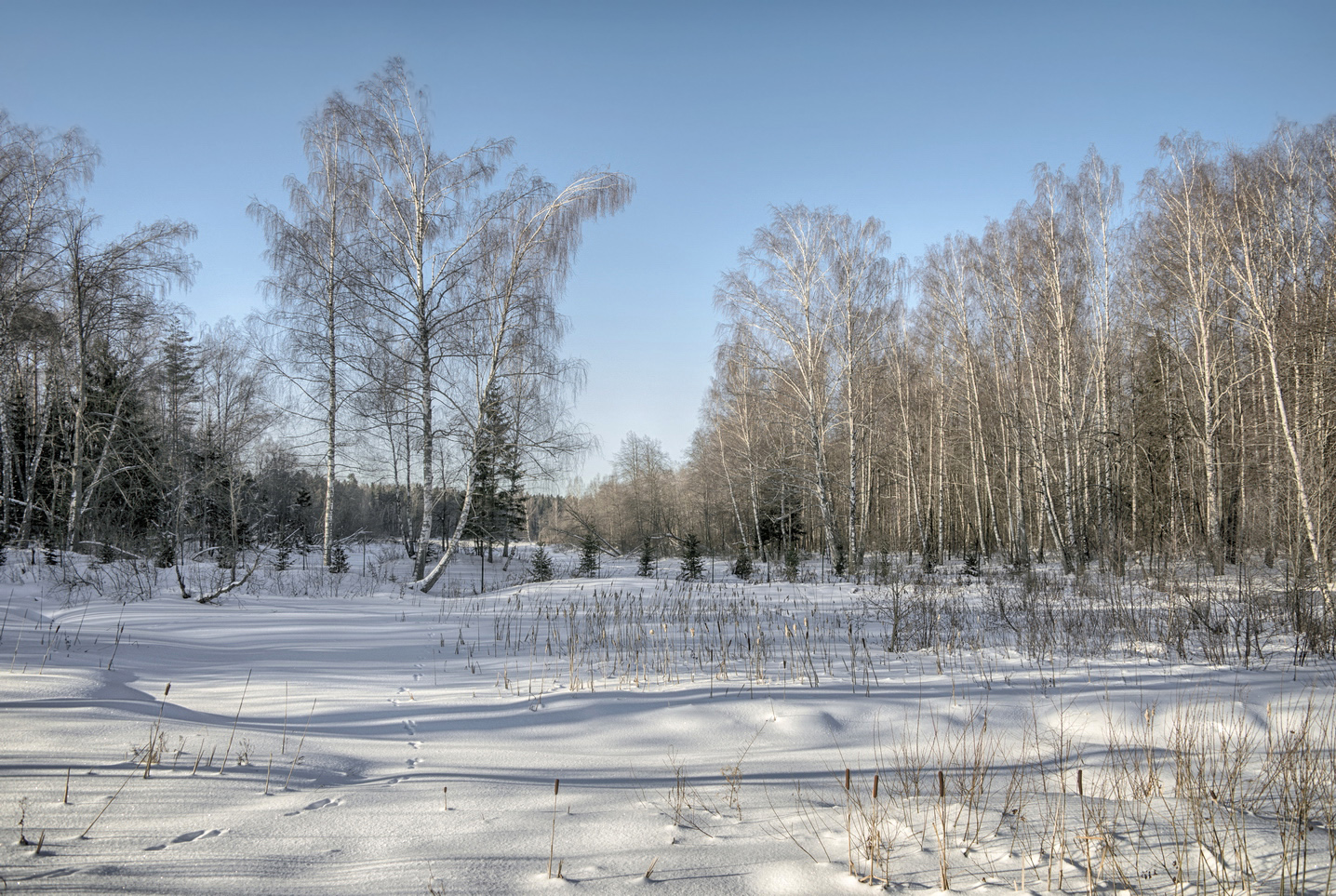 фото "По заячьим следам" метки: пейзаж, 