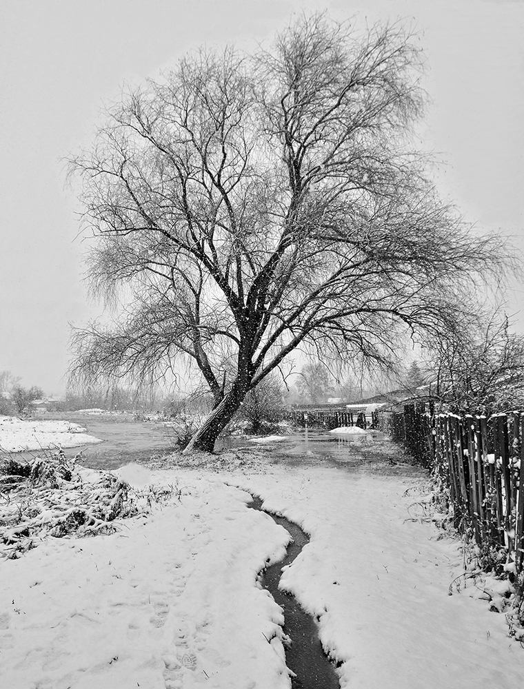 фото "***" метки: пейзаж, 