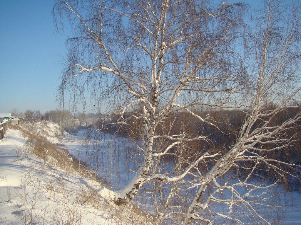 photo "Зима в деревни" tags: nature, 