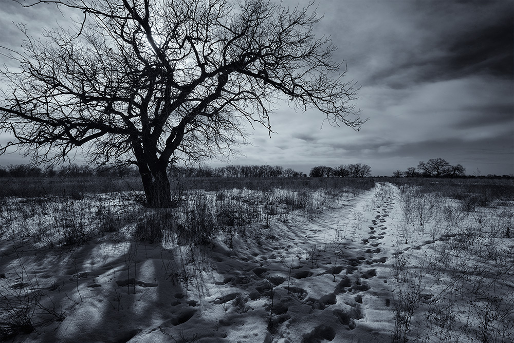 фото "***" метки: пейзаж, черно-белые, 