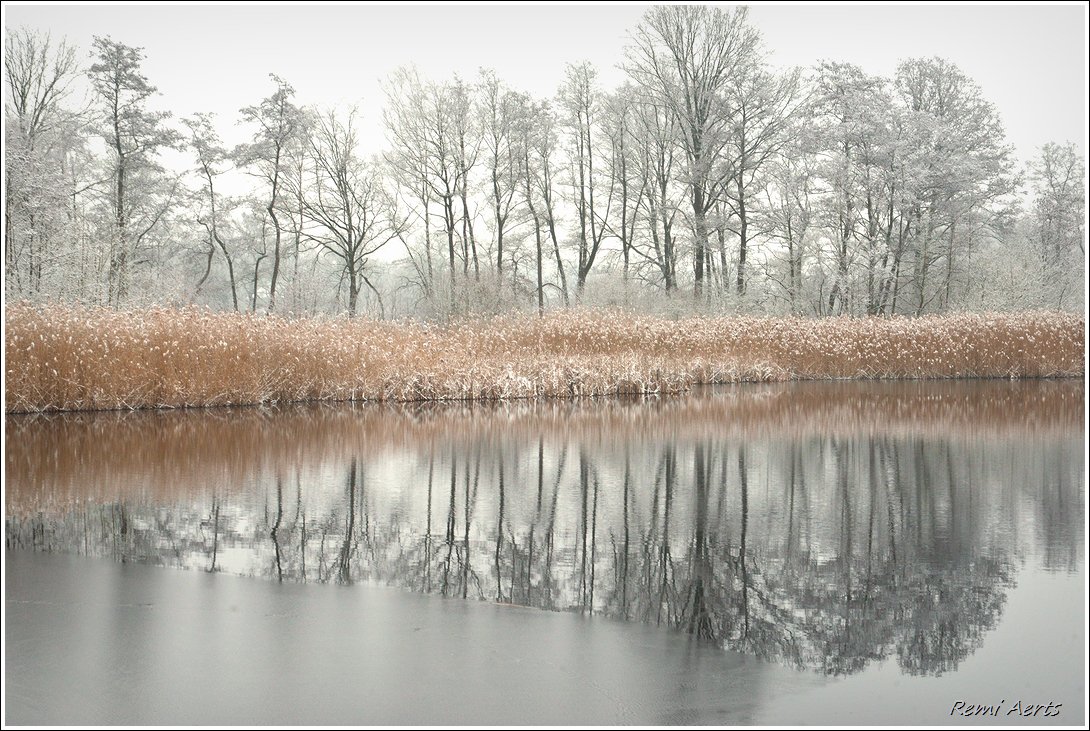 photo "***" tags: landscape, nature, 