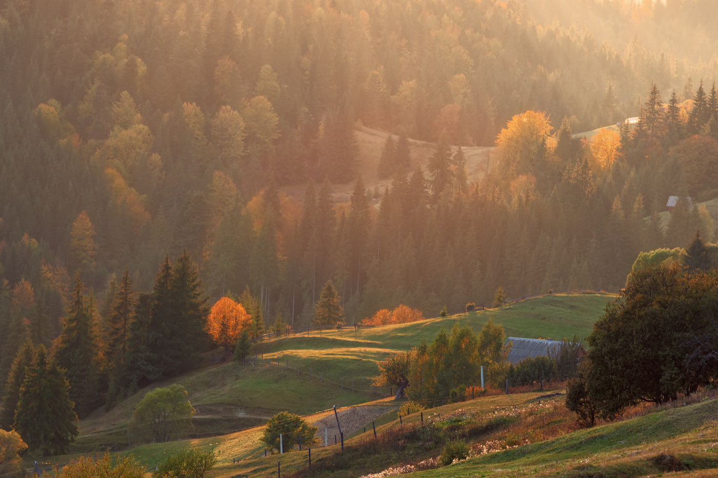 photo "***" tags: , autumn, forest, mountains, sunset, Карпаты, домик, закарпатье, склоны