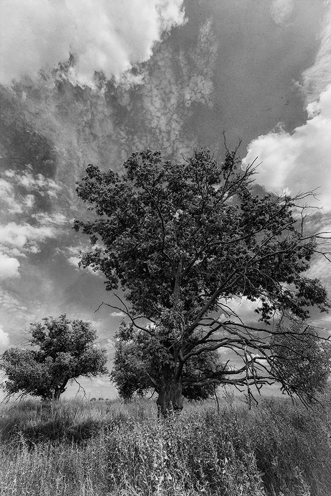 photo "***" tags: landscape, black&white, 