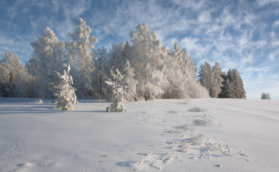 photo "***" tags: landscape, clouds, forest, hoarfrost, snow, winter, кружева, мороз