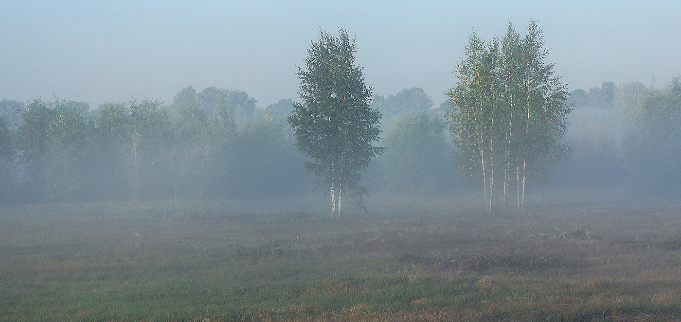 фото "Утренний туман" метки: пейзаж, 