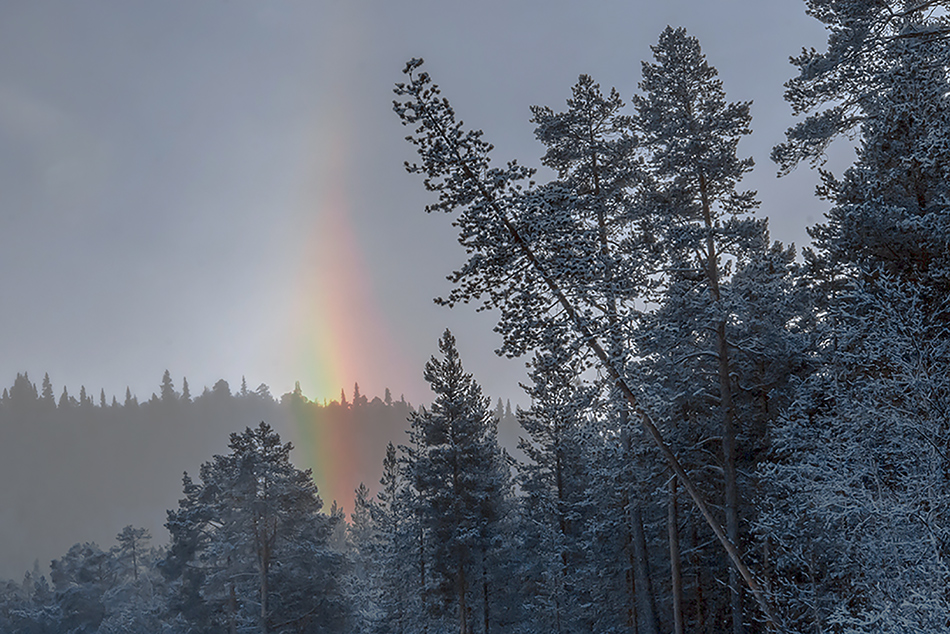 фото "Frost phenomenon" метки: природа, 