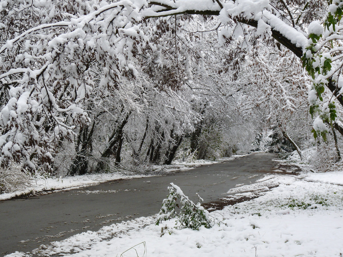 photo "***" tags: nature, winter