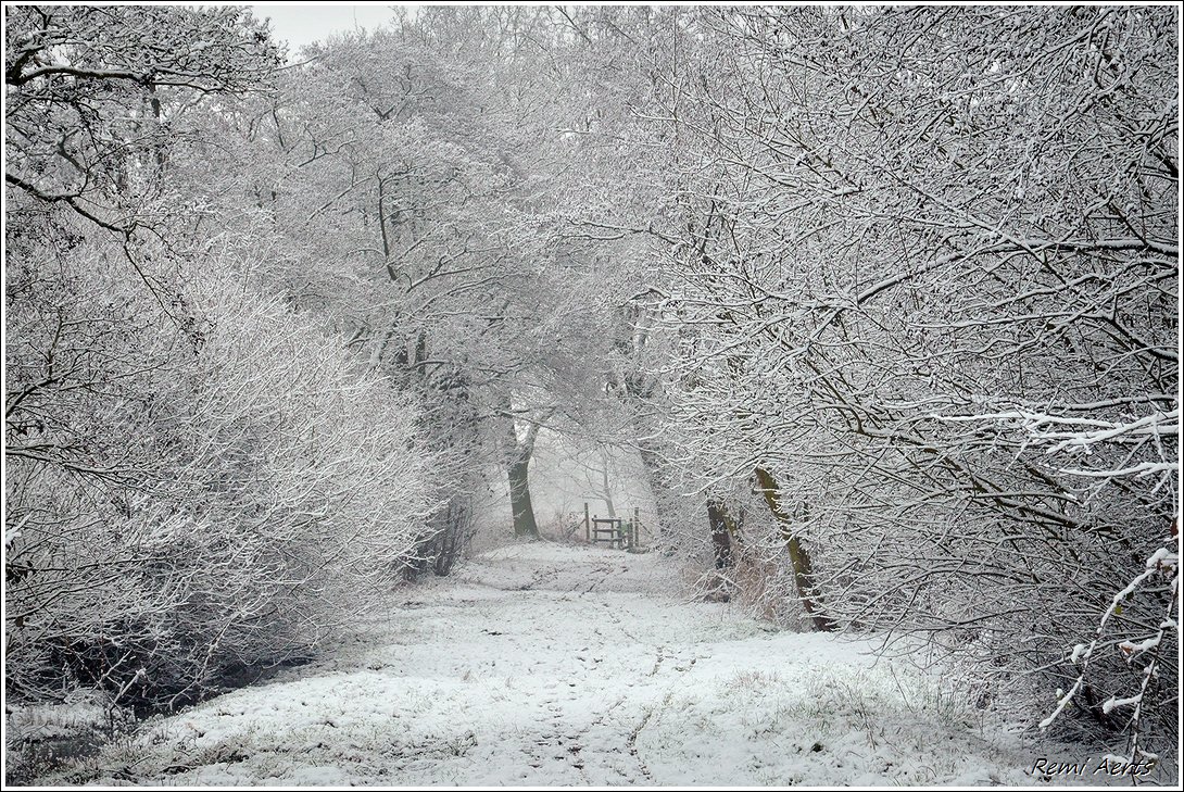 photo "***" tags: landscape, nature, 