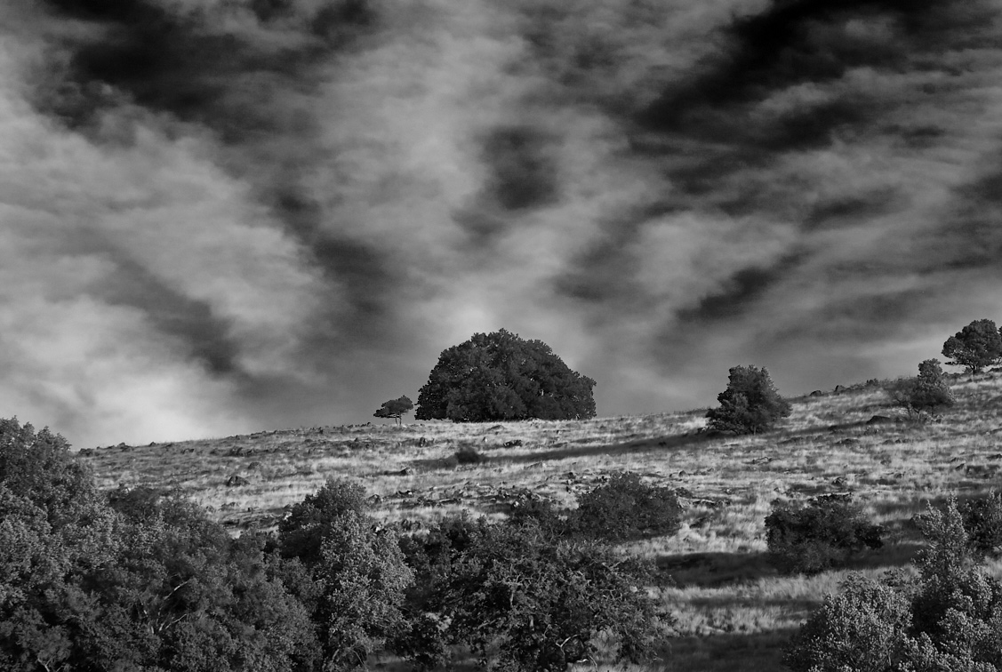 фото "Вечерние Контрасты" метки: пейзаж, черно-белые, B/w, evenning, С1, вечер, чб