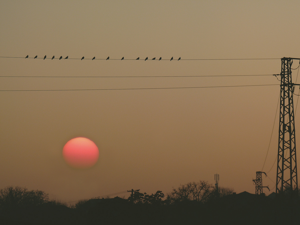 photo "***" tags: nature, sunset