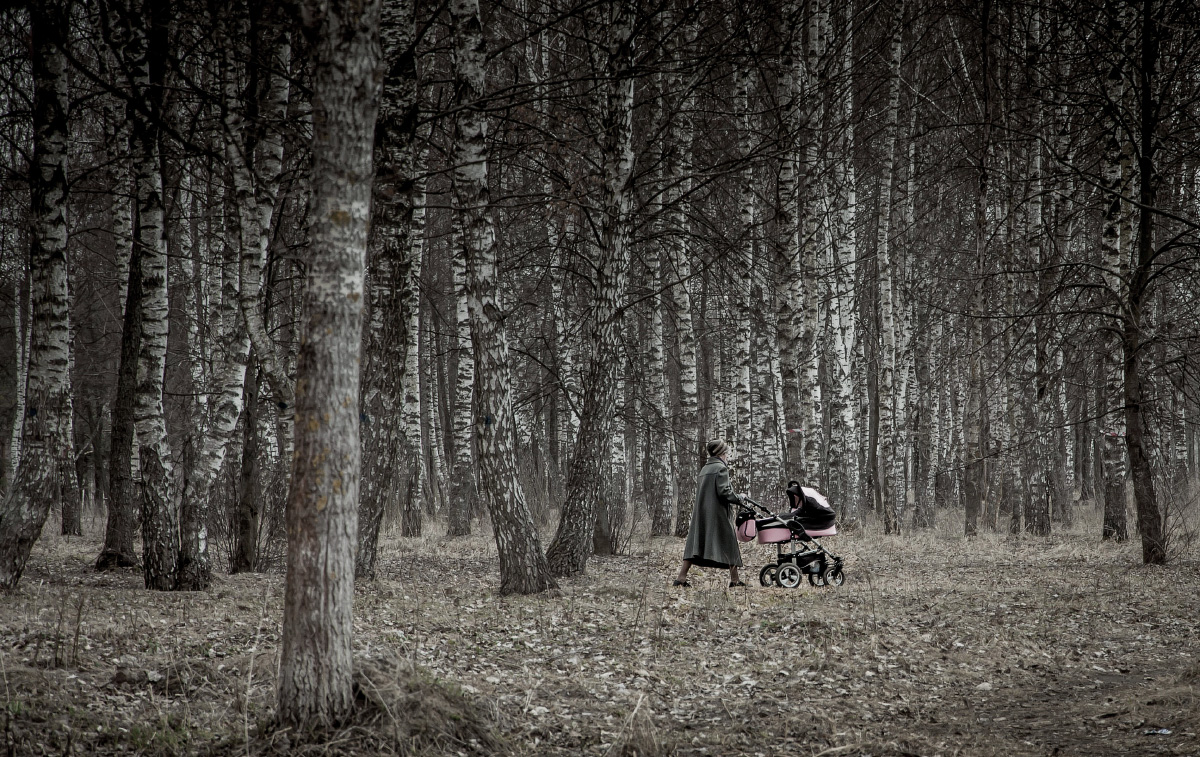 photo "***" tags: genre, autumn, forest, park, деревья