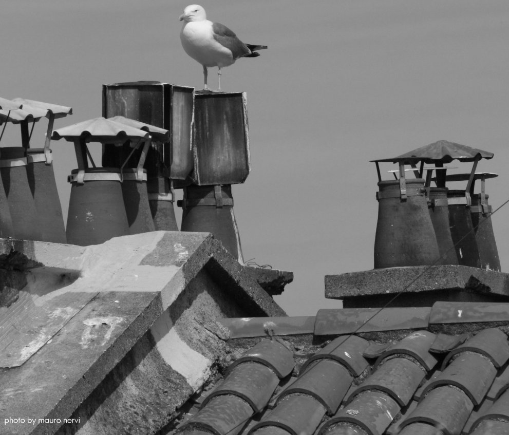 photo "on the roof" tags: black&white, 
