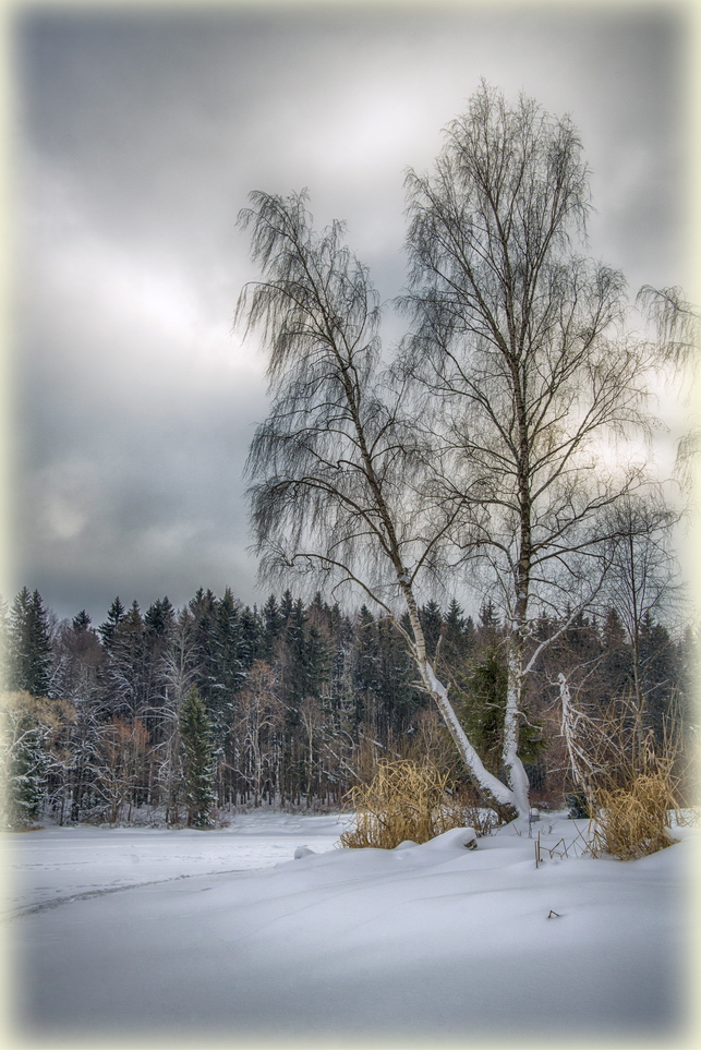 фото "Палитра февраля" метки: пейзаж, природа, 