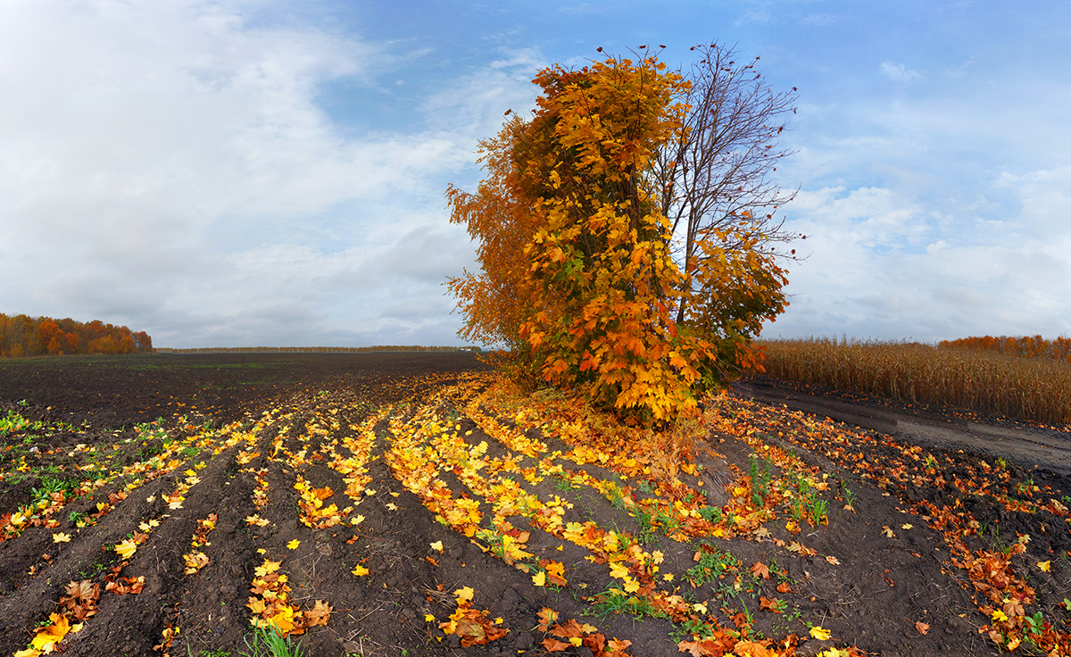 photo "***" tags: landscape, autumn