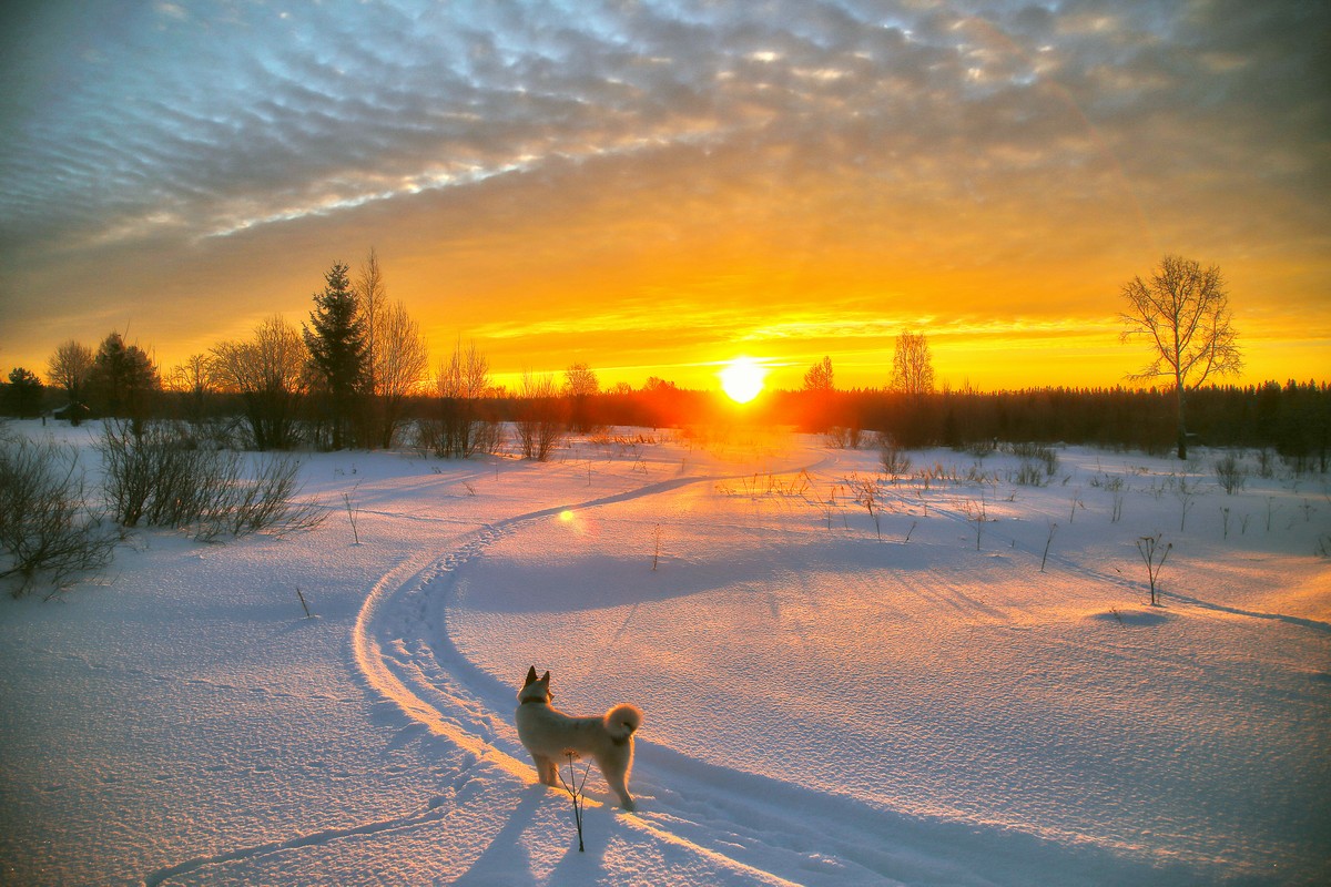 photo "***" tags: landscape, nature, winter