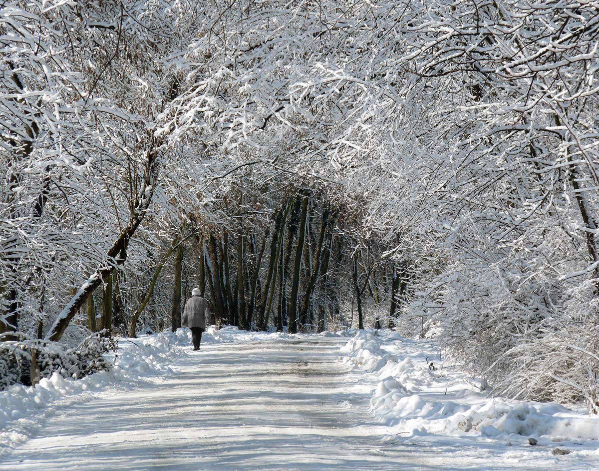 фото "***" метки: пейзаж, зима