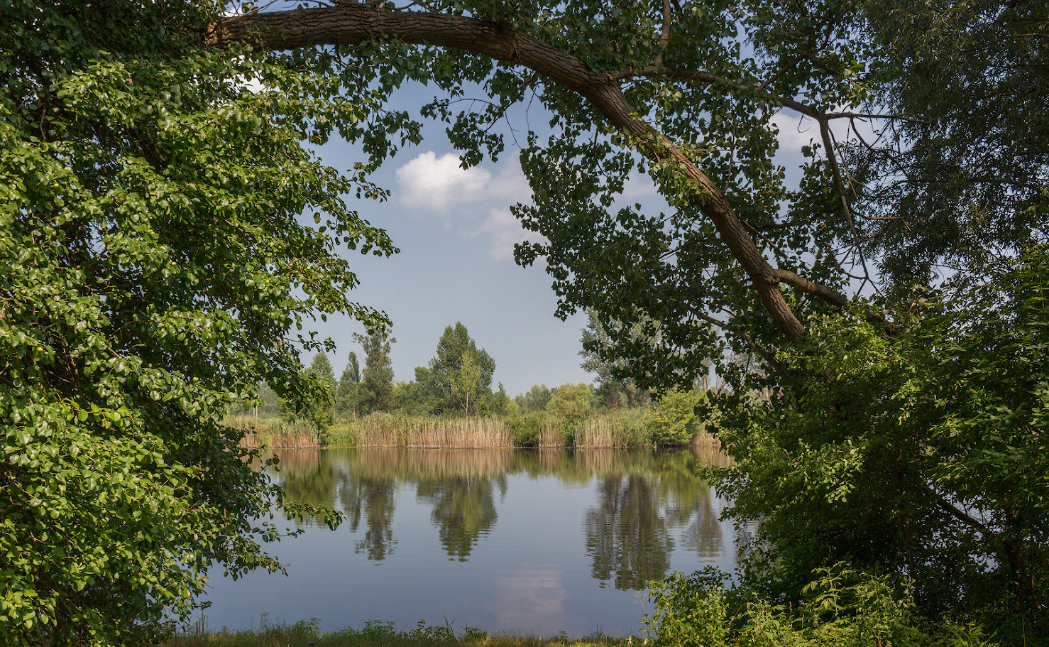 фото "*****" метки: пейзаж, 