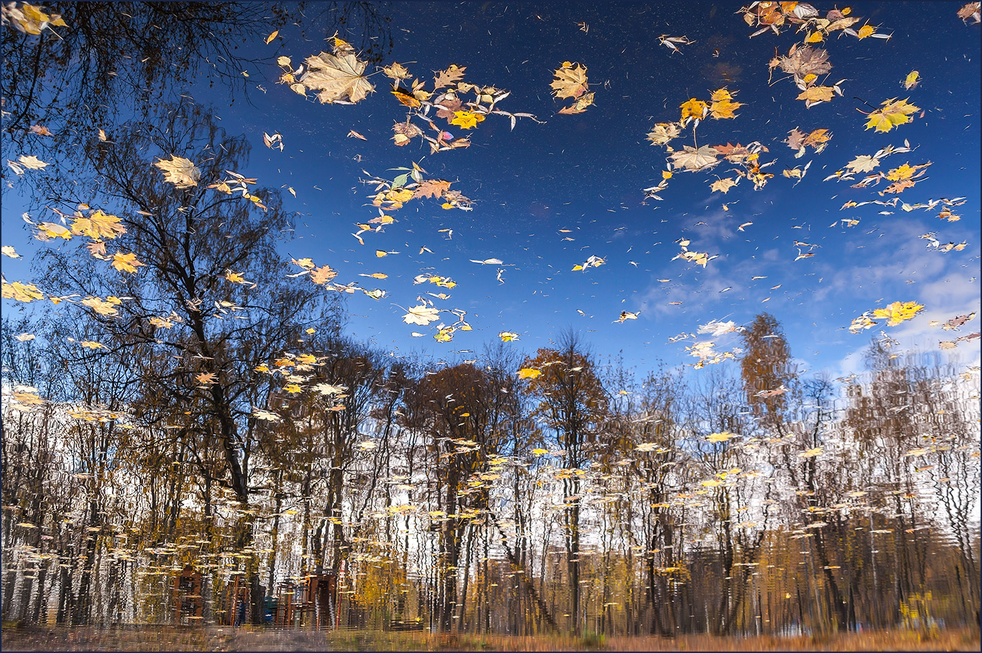 photo "***" tags: nature, landscape, autumn, reflections