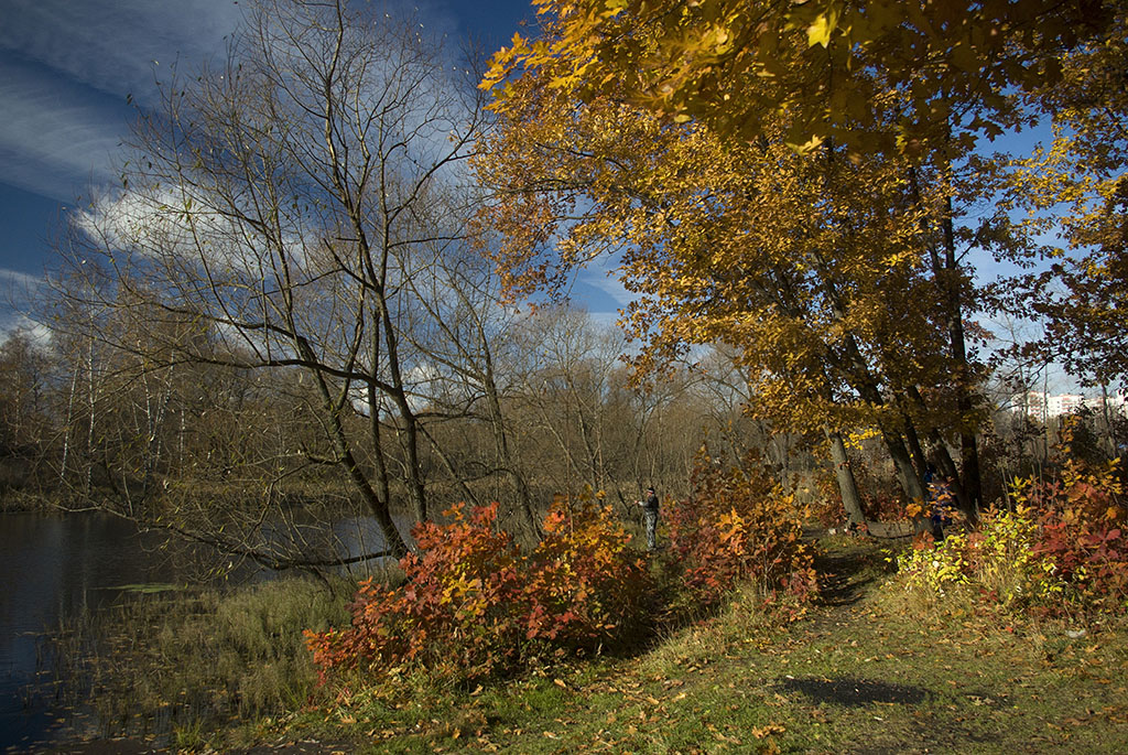 фото "Последний всплеск осени." метки: пейзаж, город, Бутово, Москва, деревья, облака, осень, рыбак
