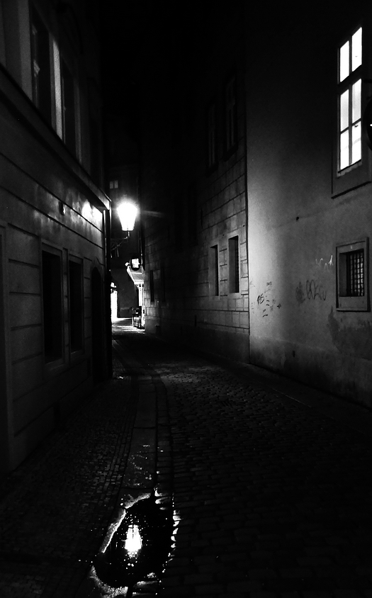 фото "Ночной фонарь и лужа" метки: черно-белые, Prag, Praha, Прага