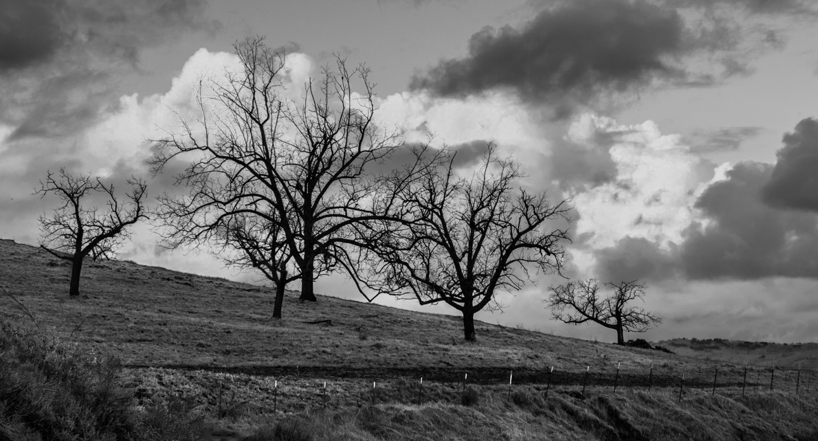 photo "***" tags: black&white, landscape, 