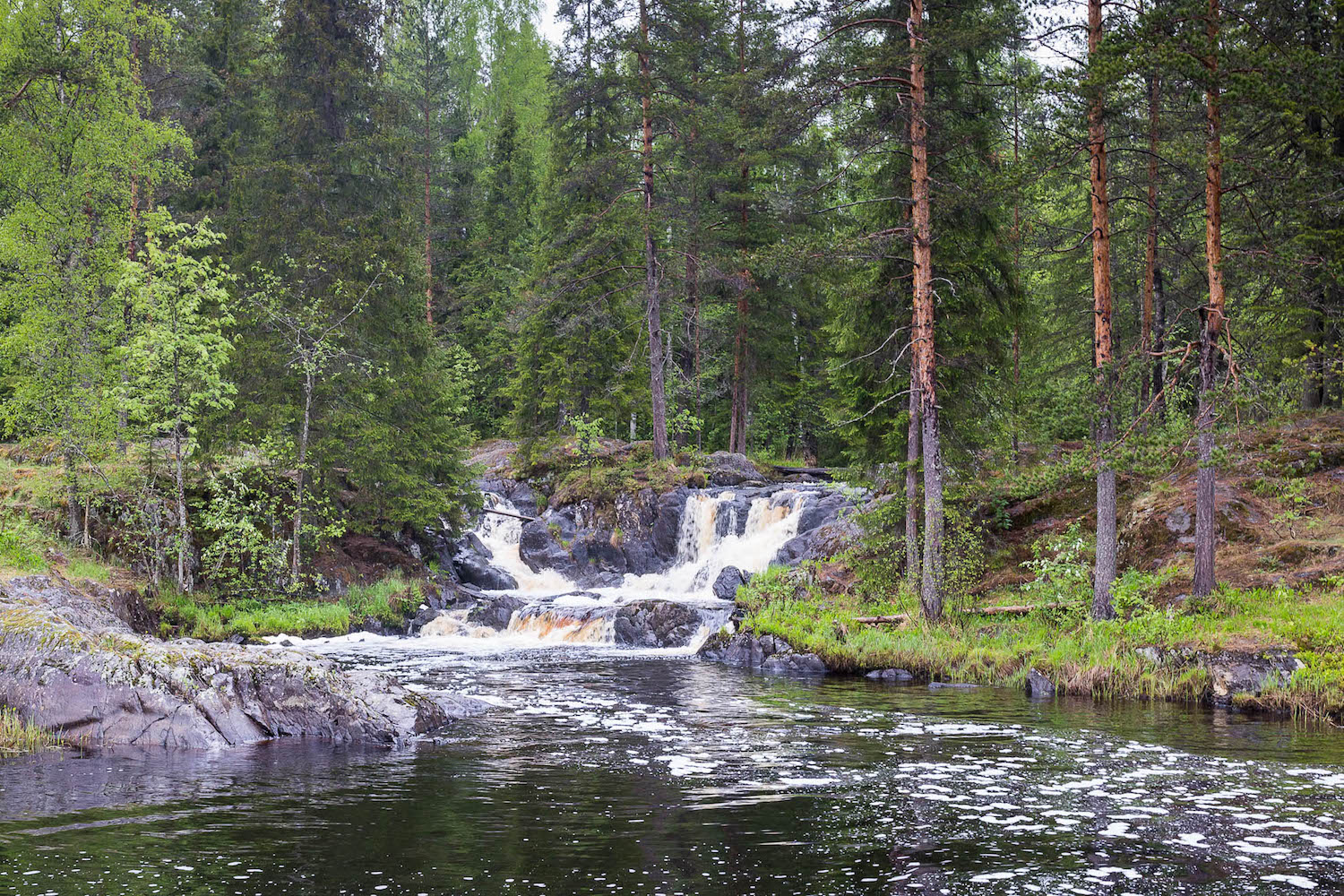 фото "Сказочный лес" метки: пейзаж, природа, путешествия, Карелия, Россия, Русский лес, водопад, лес