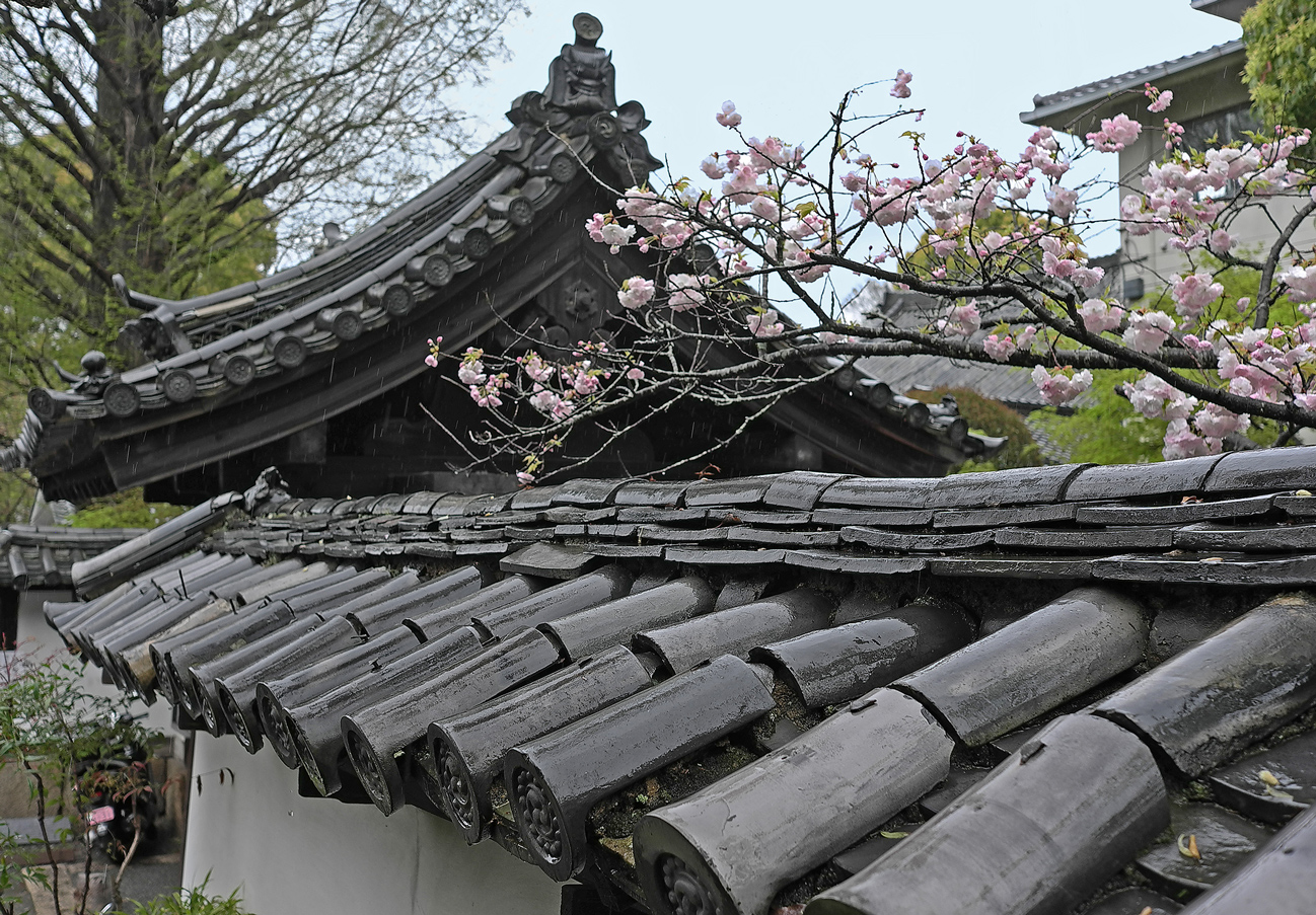 фото "Черепица" метки: архитектура, фрагмент, япония