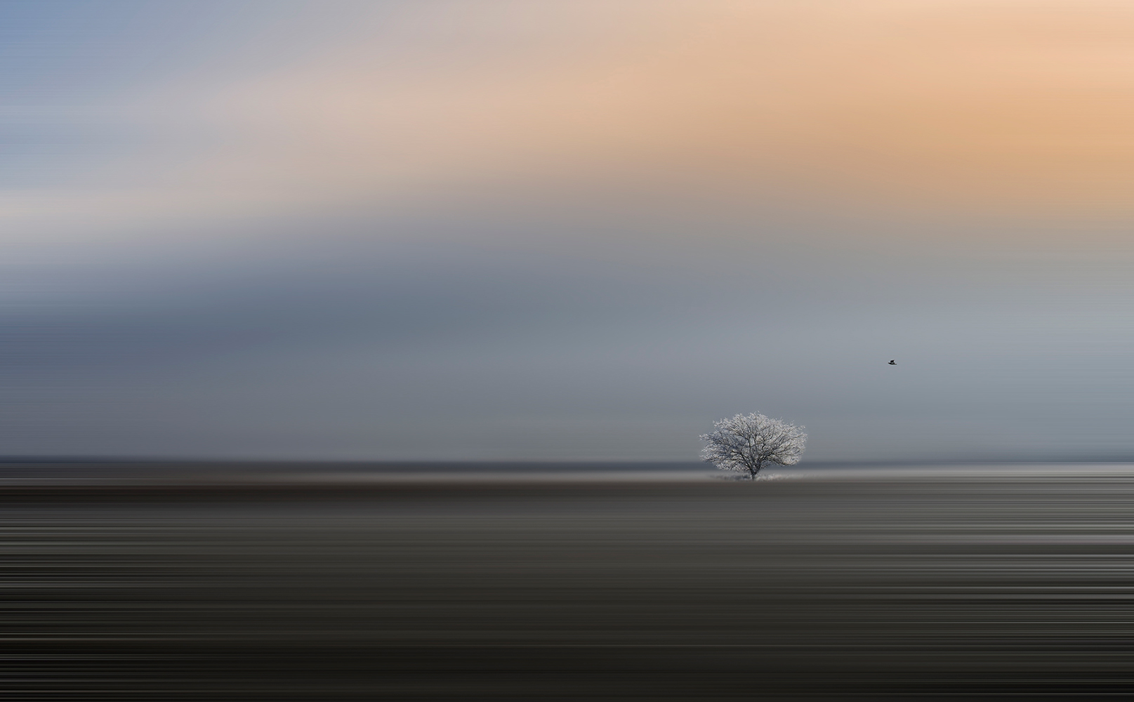 photo "***" tags: landscape, 