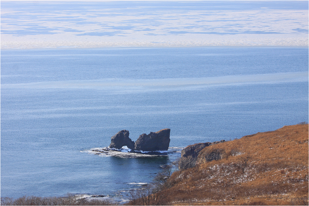 фото "Гадкий утенок" метки: пейзаж, зима, море