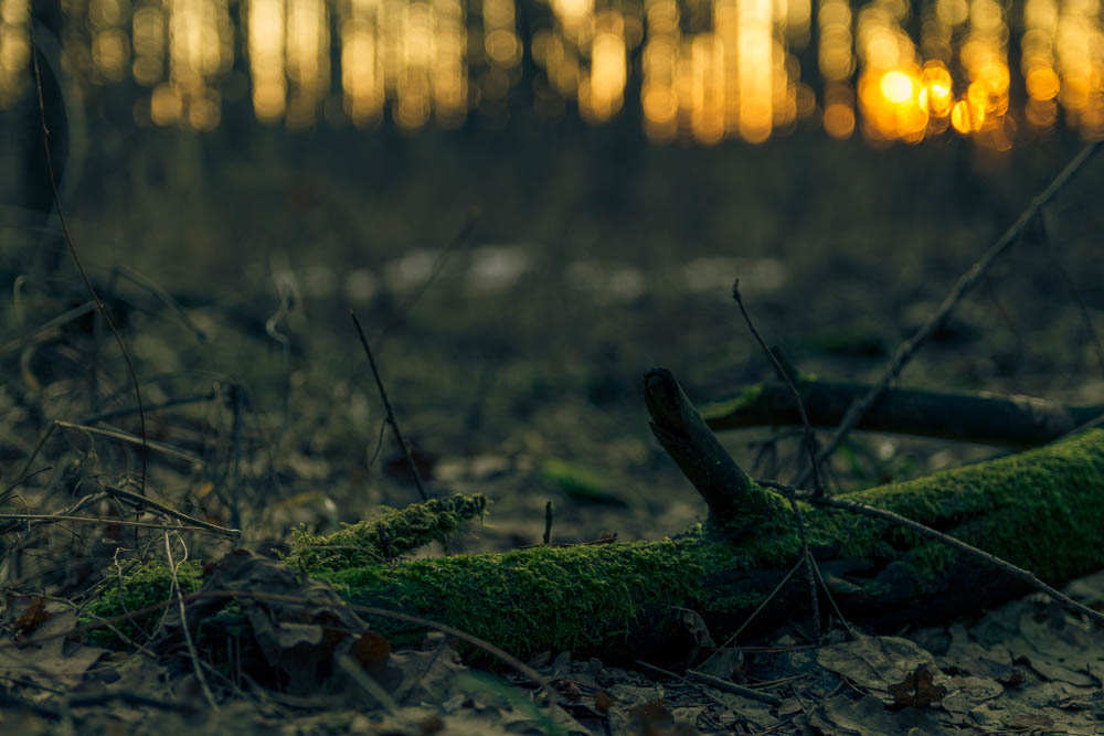 photo "***" tags: landscape, 