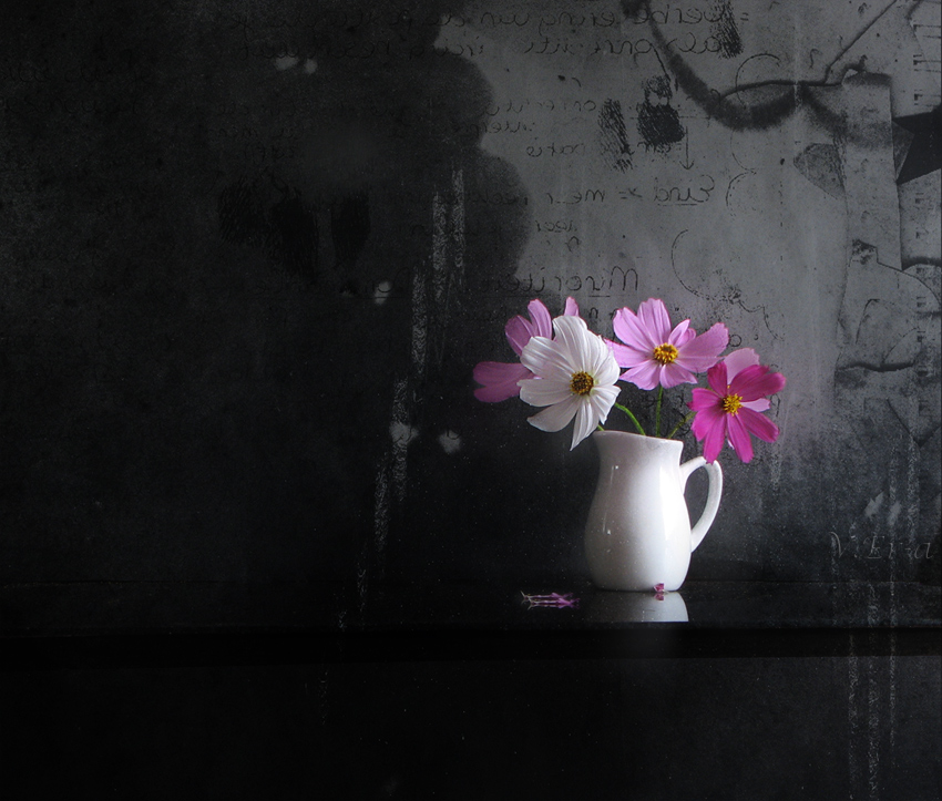 photo "***" tags: still life, flowers