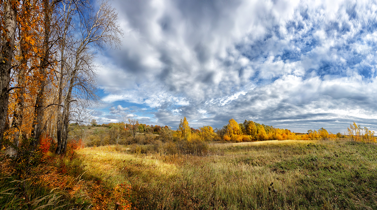 фото "Осень..." метки: пейзаж, лес, осень