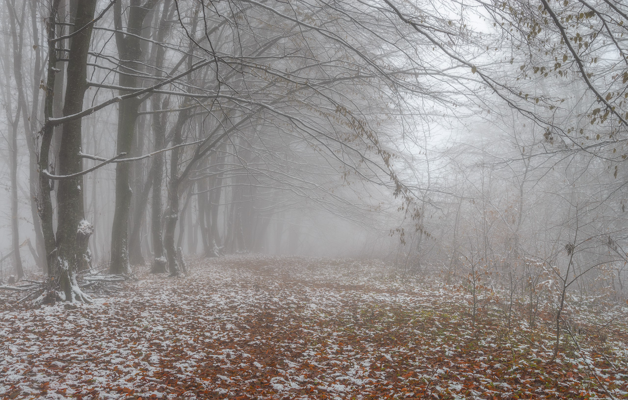 photo "***" tags: nature, Russia, Кавказ, пригород г. Нальчика