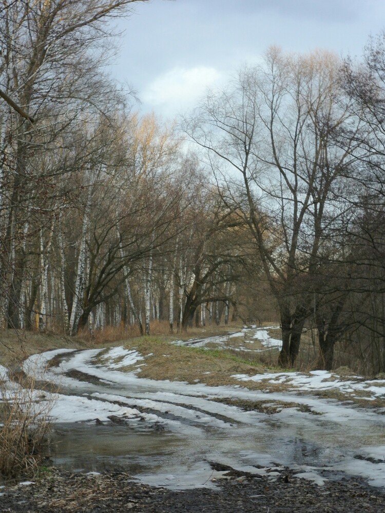 фото "Март." метки: пейзаж, 