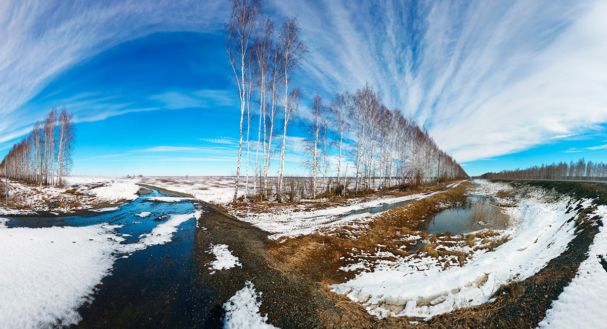 photo "***" tags: landscape, birches, clouds, field, road, spring