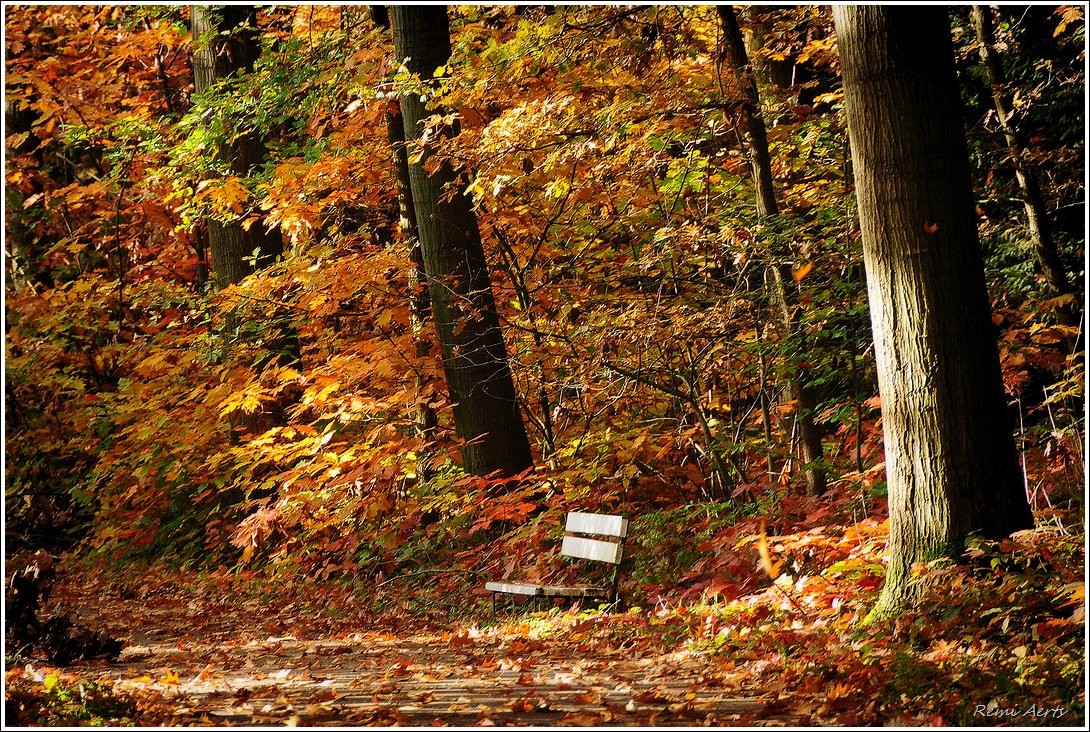 фото "***" метки: пейзаж, природа, 