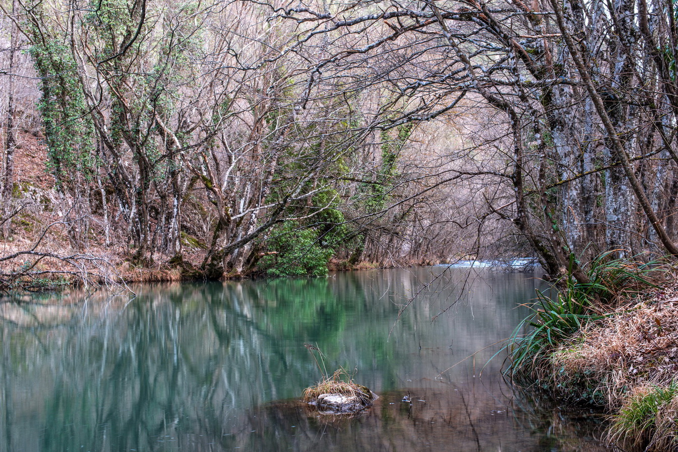 photo "***" tags: nature, landscape, 