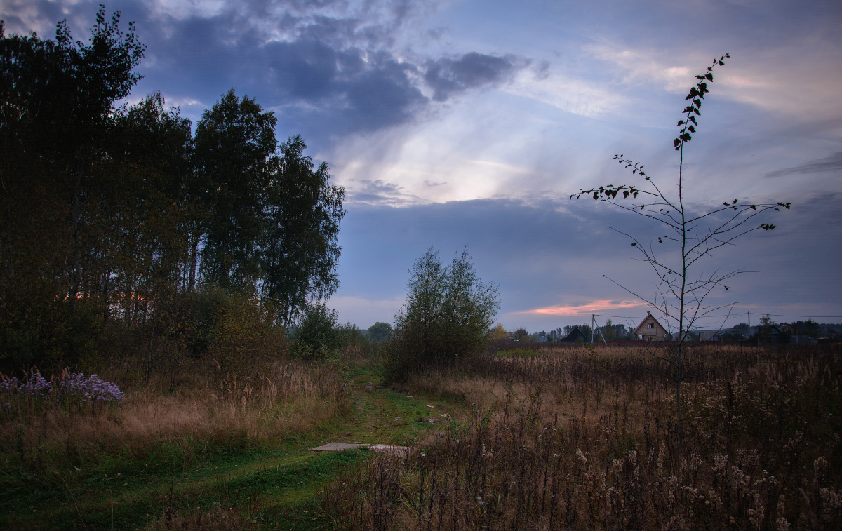 photo "***" tags: landscape, autumn, clouds, forest, road, sky, sunset, деревья