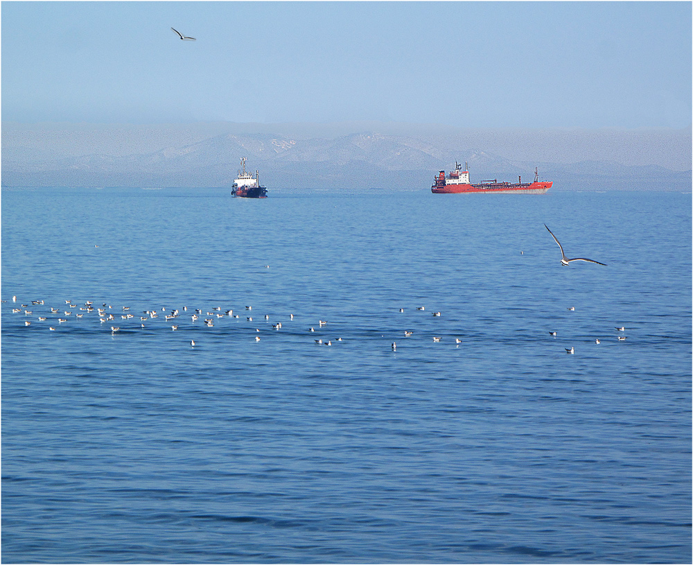 photo "***" tags: landscape, sea, spring, корабль.