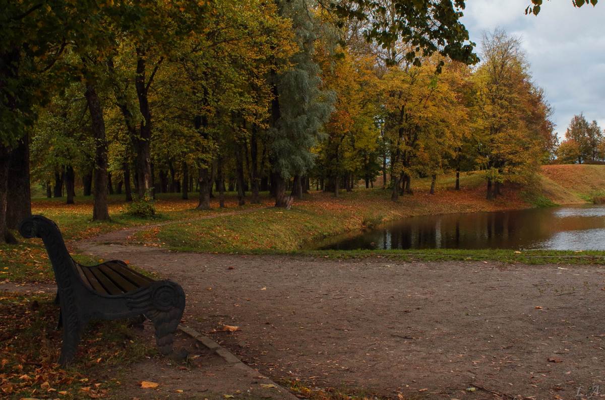 photo "***" tags: landscape, autumn, park, pond, деревья, скамейка