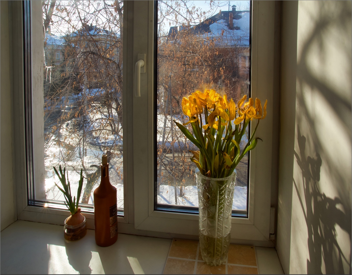 photo "Mid-March" tags: still life, interior, 