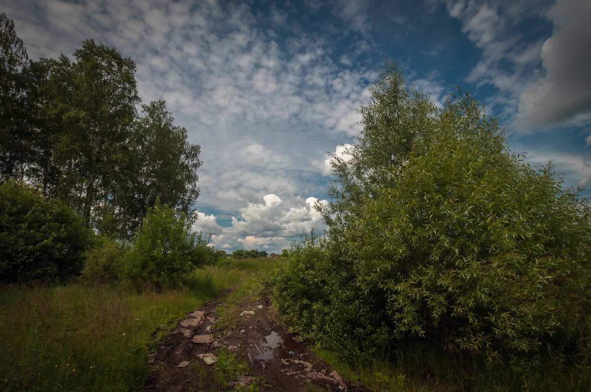 photo "***" tags: landscape, clouds, forest, road, sky, summer, деревья