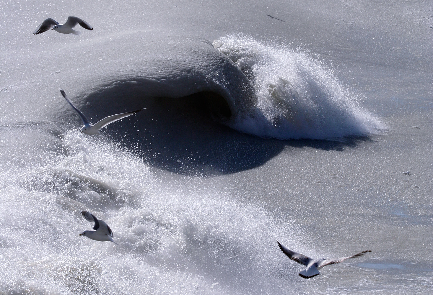 фото "frozen" метки: природа, 